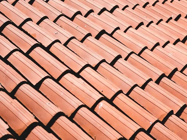 Tuile canal — ferme rénovée à Peyrehorade